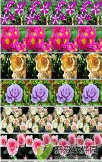 visipics