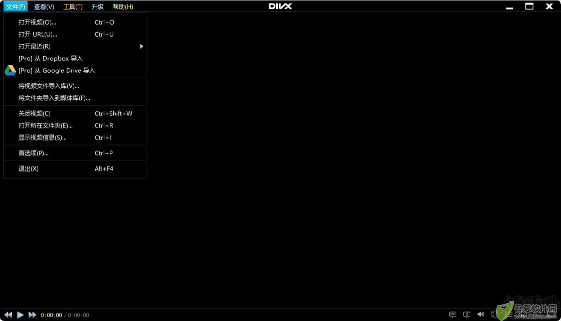 DivX Plus(divx解码器)