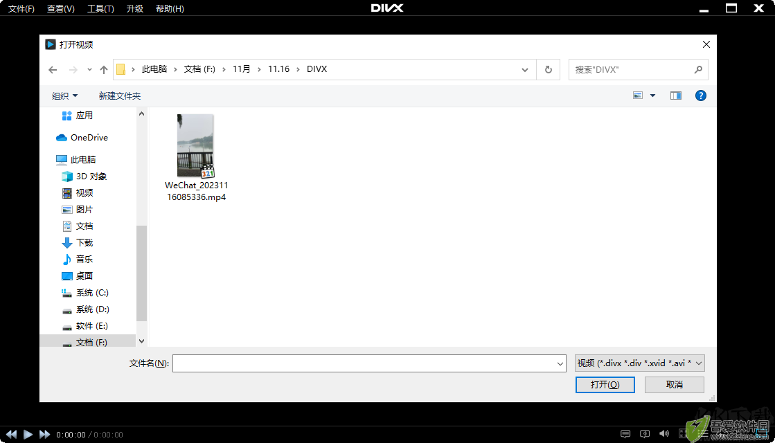DivX Plus(divx解码器)