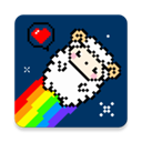 星咩视频壁纸 v1.3.9安卓版