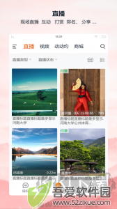 全民动动