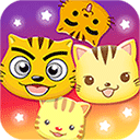 星猫广场 v3.2.5.3最新版
