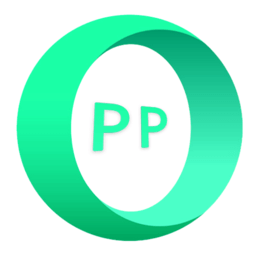 PP浏览器 v1.0.1安卓版