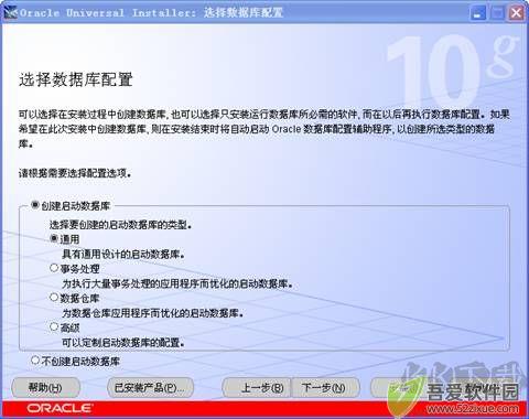 oracle 10g