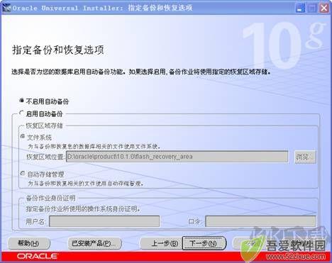 oracle 10g