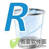 revo uninstaller pro中文版  v5.3.5官方正版