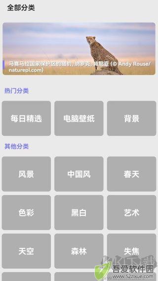 派派壁纸