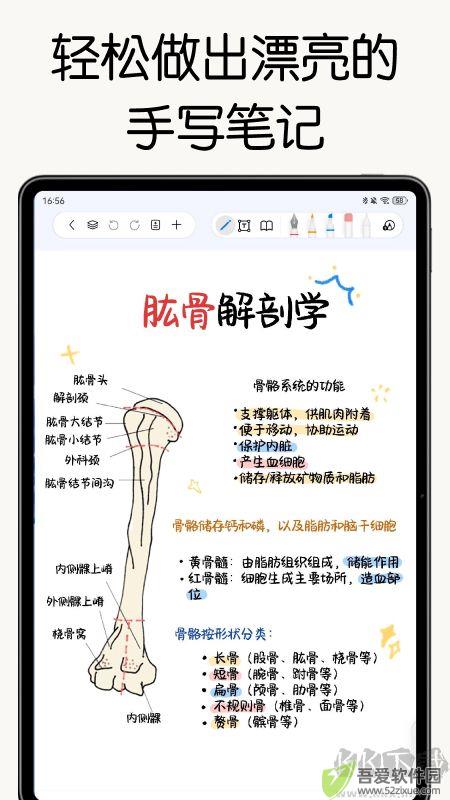 自由笔记