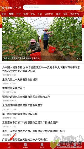 在崇左