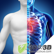 3D人体解剖图谱 v2.0.7安卓版