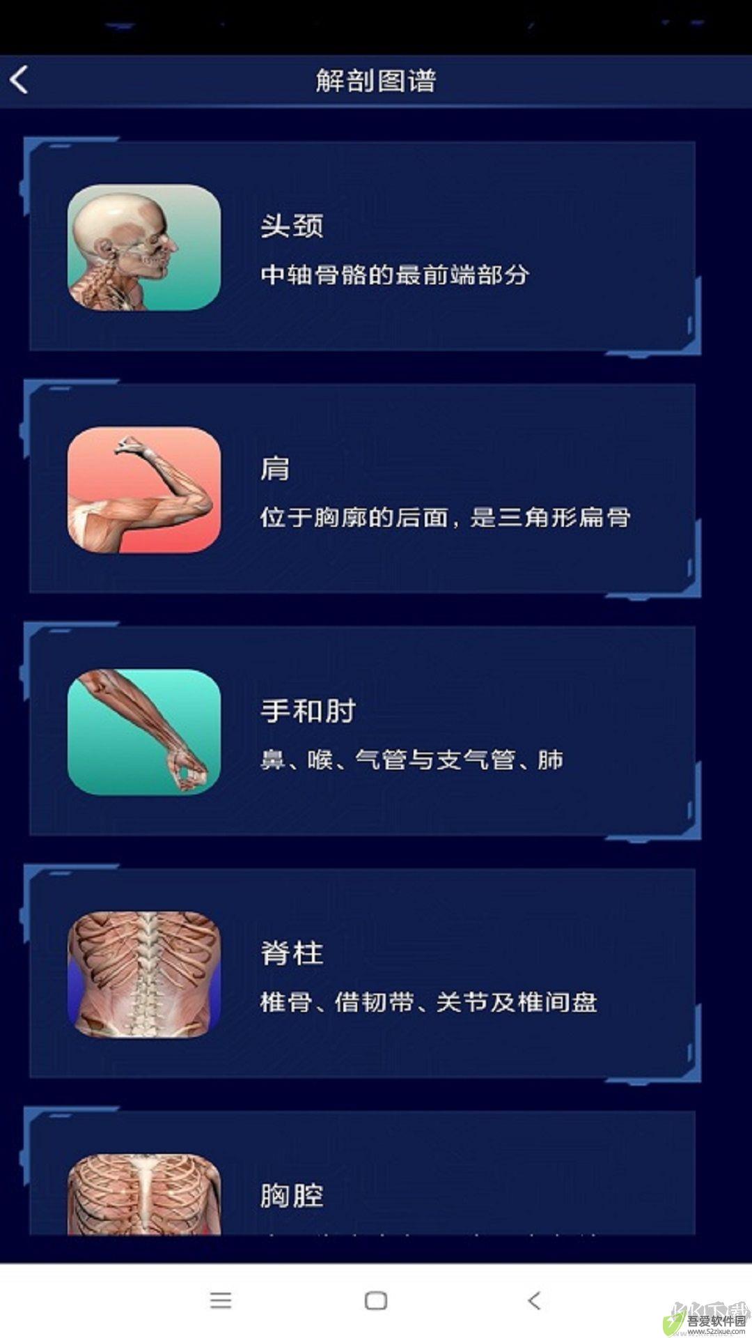 3D人体解剖图谱