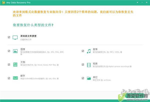 Any Data Recovery Pro(数据恢复软件)