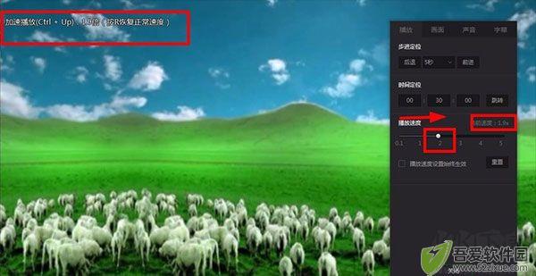爱奇艺万能联播