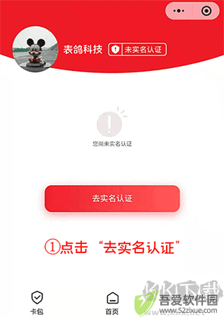 表鸽