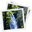 Similar Picture Finder(相似图片查找工具) v1.0.45电脑版