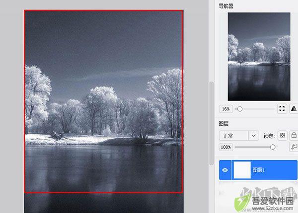 熊猫绘画