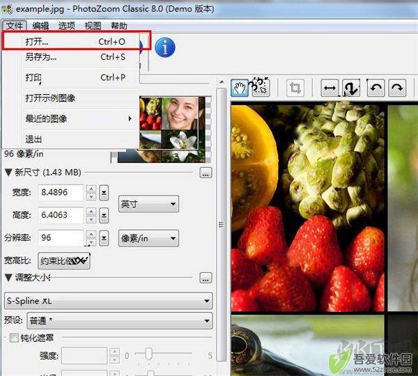 PhotoZoom Pro 8(图片无损放大)