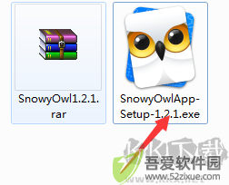 SnowyOwl