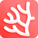 珊瑚文学网 v2.0.0安卓版