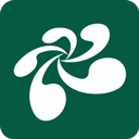 云屋小班课官网版 v3.28.3官方版