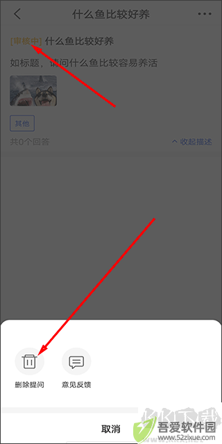 鲲天下养鱼