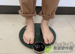Fitdays软件