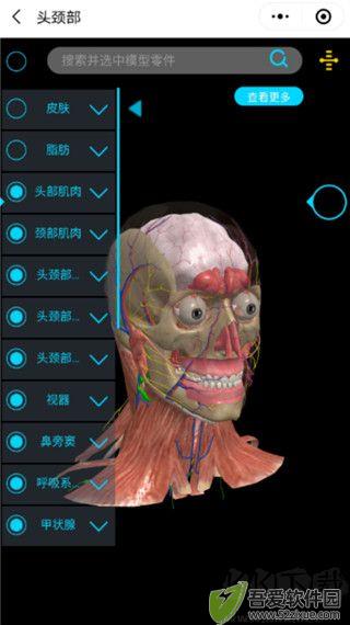 医维度解剖