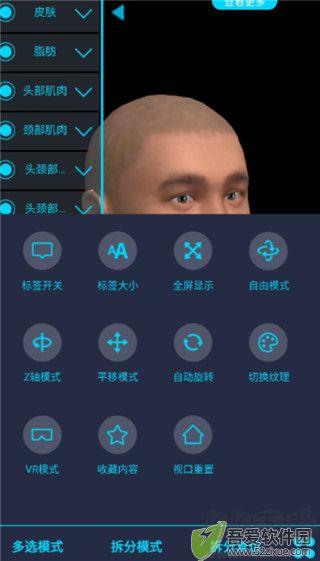 医维度解剖